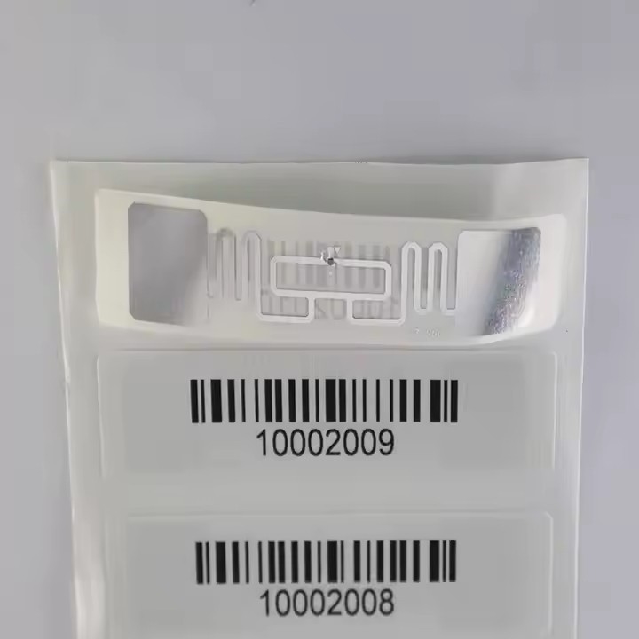 الاسم