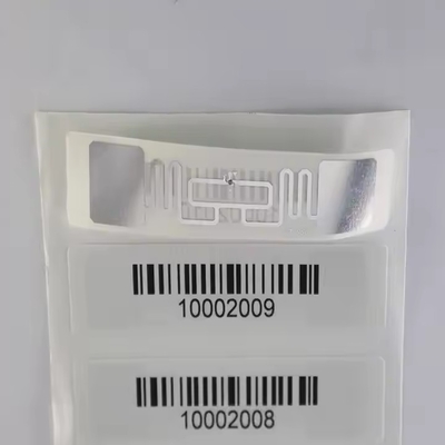 الاسم